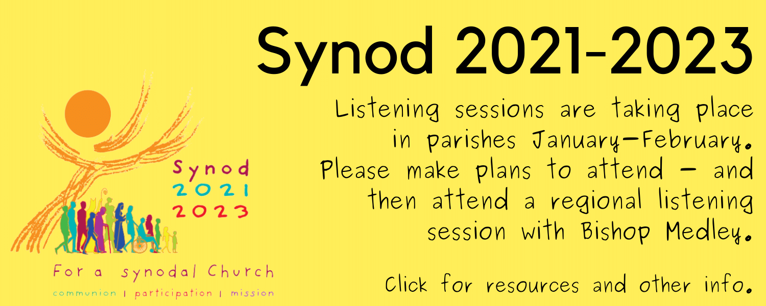 Synod Listening Sessions